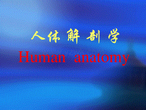 【PPT】人体解剖学-教学课件.ppt
