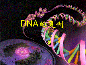 第三章第三节DNA的复制96677-教学课件.ppt