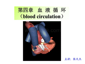 血液循环(心脏泵血功能)-教学课件.ppt