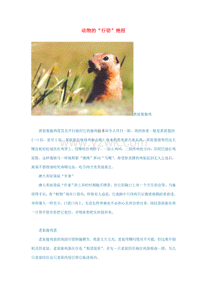 初中语文语文百科(动物)动物的行窃绝招素材.doc